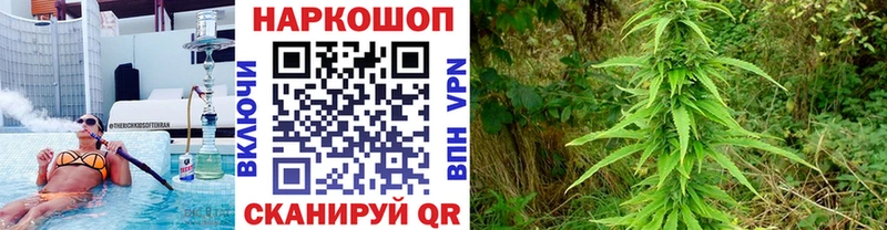 Магазины продажи наркотиков Городище Гашиш  Каннабис  ОМГ ОМГ зеркало  Меф  СОЛЬ  АМФ 