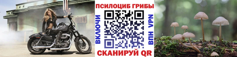 Галлюциногенные грибы ЛСД  наркошоп  Городище 